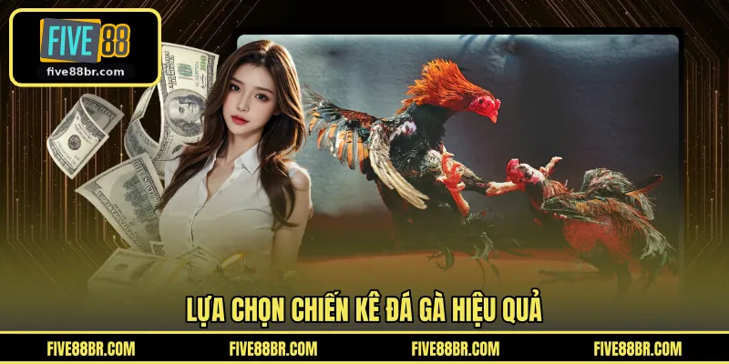 Lựa chọn chiến kê đá gà hiệu quả