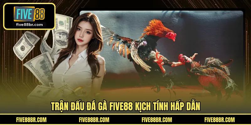 Trận đấu đá gà FIVE88 kịch tính hấp dẫn